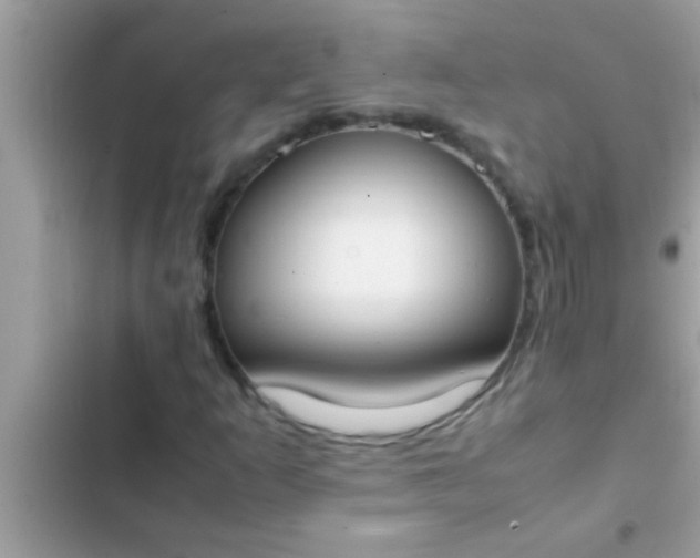 X0000102391253200808151913