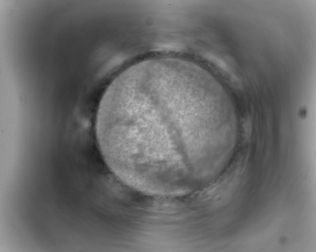 X0000102391254200808151913