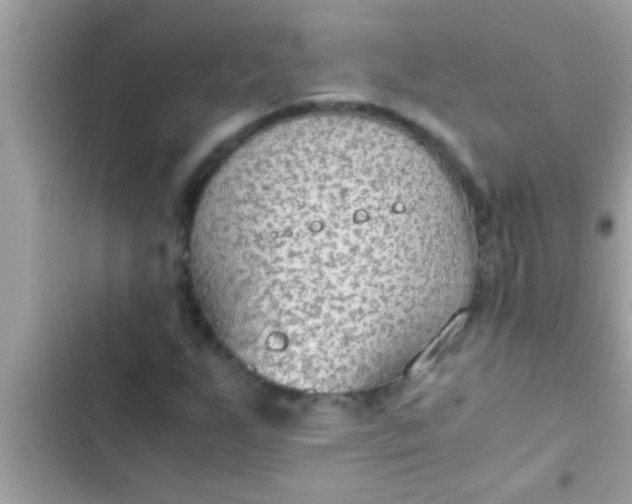 X0000102391255200808151913