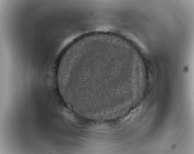 X0000102391256200808151913