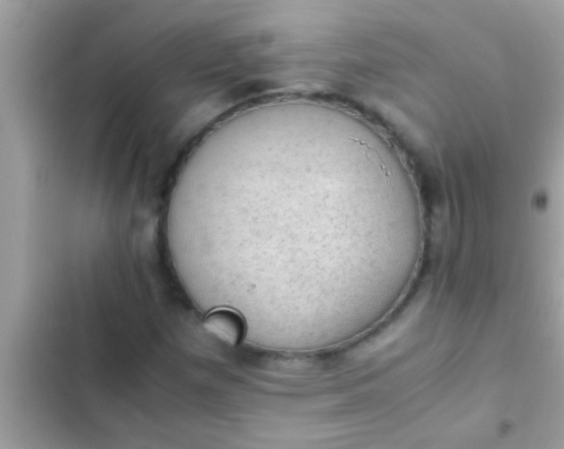 X0000102391257200808151913