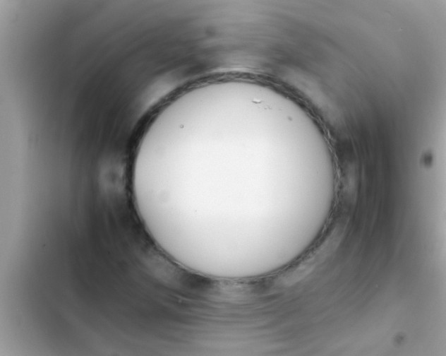 X0000102391258200808151913