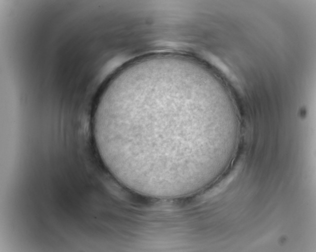 X0000102391259200808151913