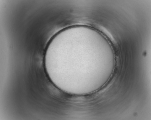 X0000102391260200808151913