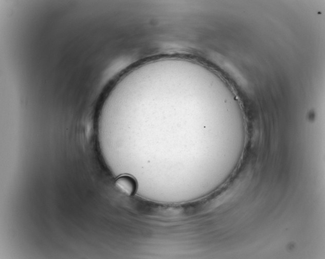 X0000102391261200808151913