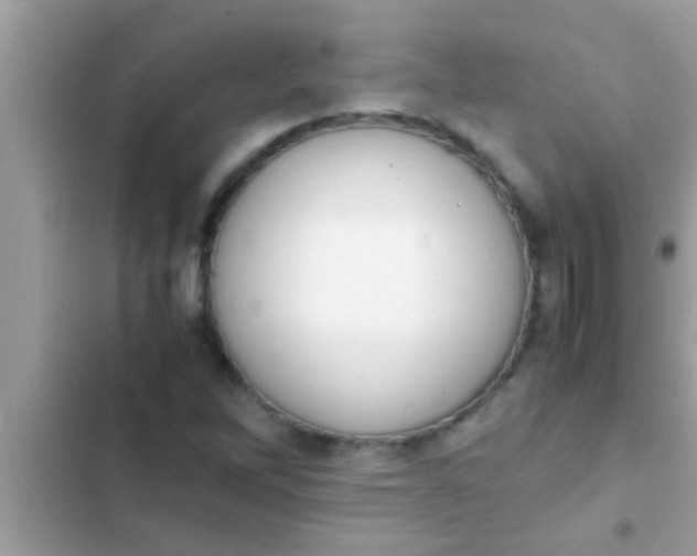 X0000102391262200808151913