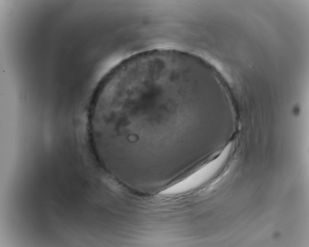 X0000102391263200808151913