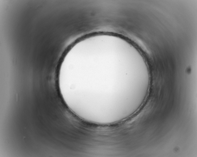 X0000102391264200808151912