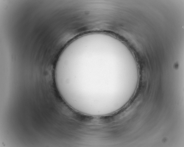 X0000102391265200808151912