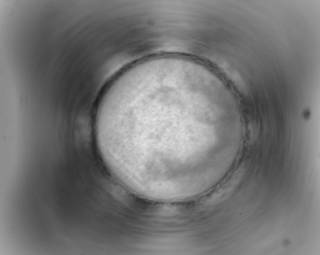 X0000102391266200808151912