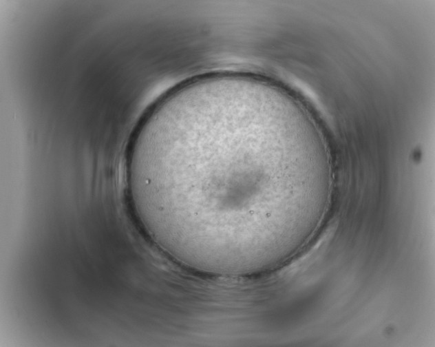 X0000102391267200808151912