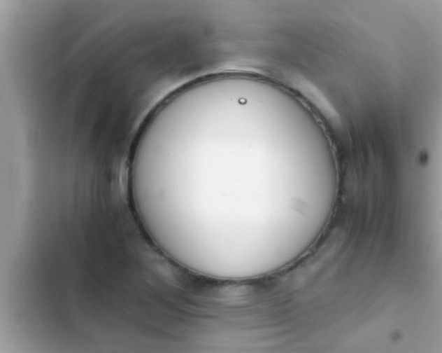 X0000102391268200808151912