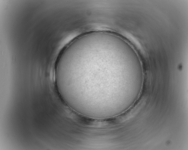 X0000102391269200808151912