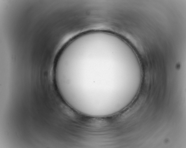 X0000102391270200808151912