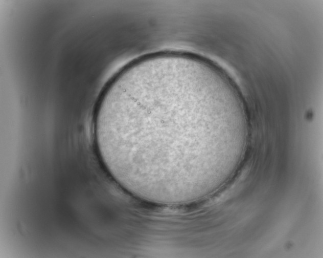 X0000102391271200808151912