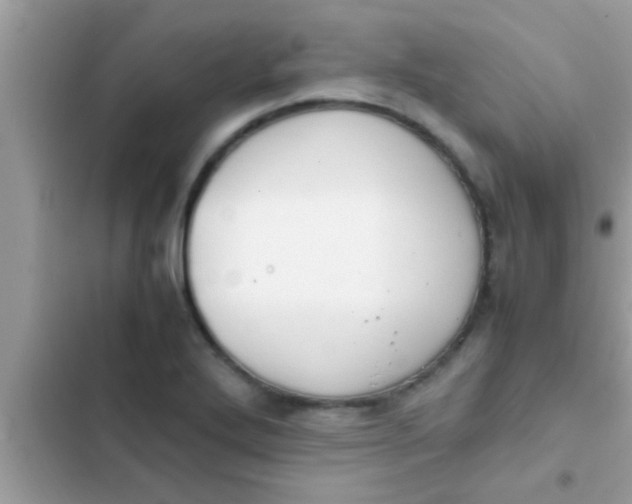 X0000102391272200808151912