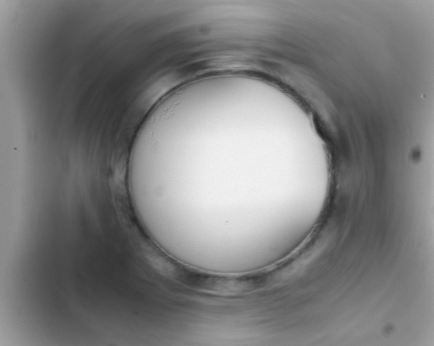 X0000102391273200808151912