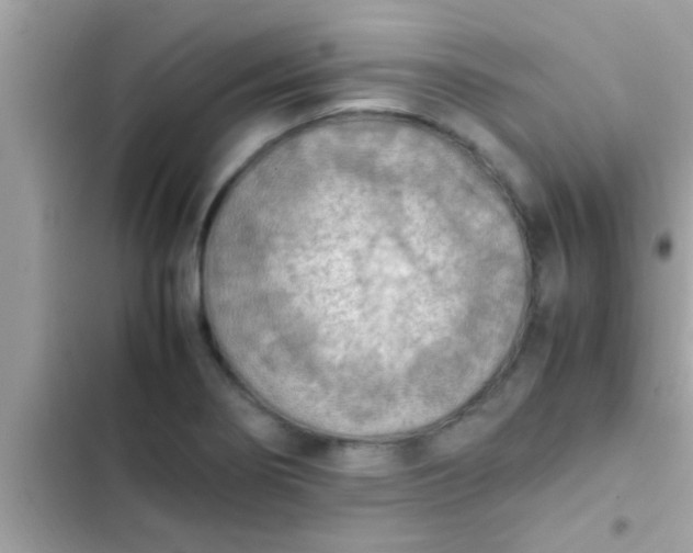 X0000102391274200808151912