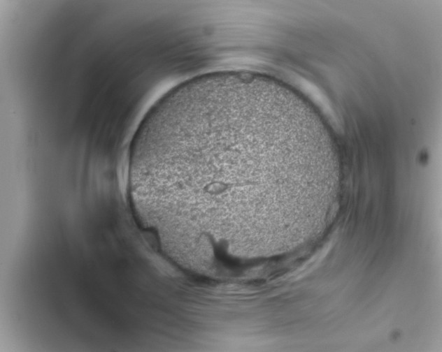 X0000102391275200808151912