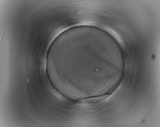 X0000102391276200808151912