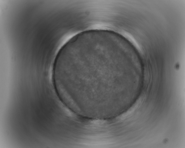 X0000102391277200808151912