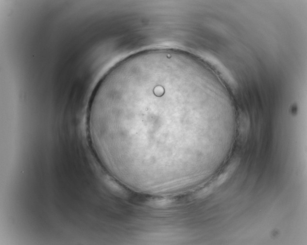 X0000102391278200808151912