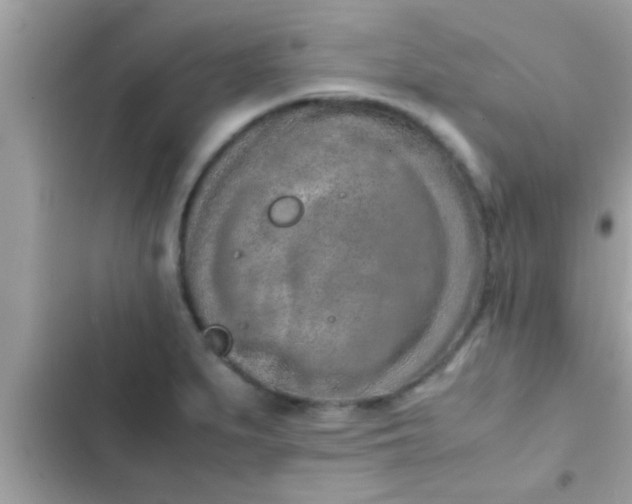 X0000102391279200808151912