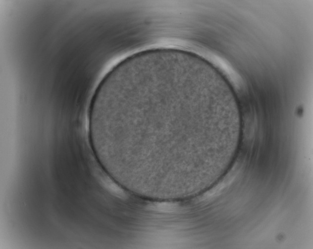 X0000102391280200808151912