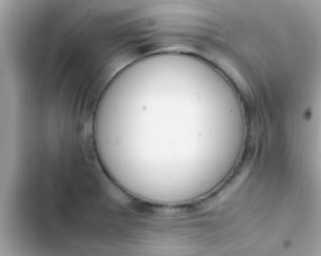 X0000102391281200808151912