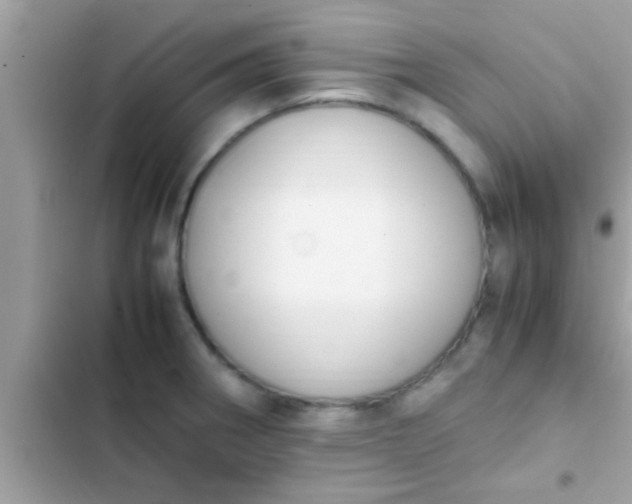 X0000102391282200808151912