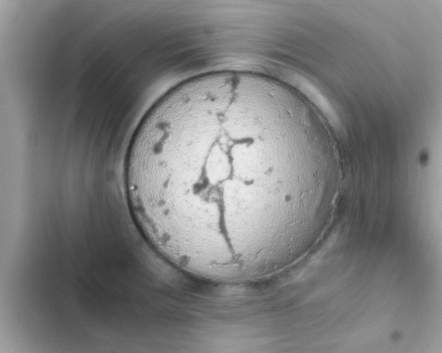 X0000102391283200808151912