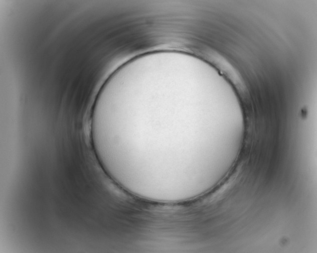 X0000102391284200808151912