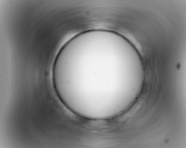 X0000102391285200808151912