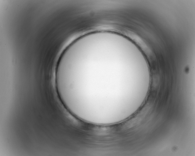 X0000102391286200808151912