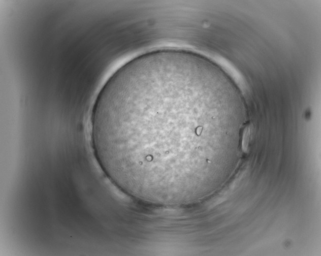 X0000102391287200808151912