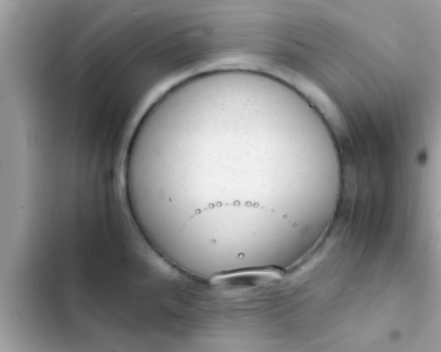 X0000102391288200808151912