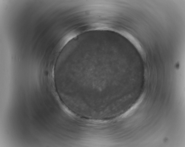 X0000102391289200808151912