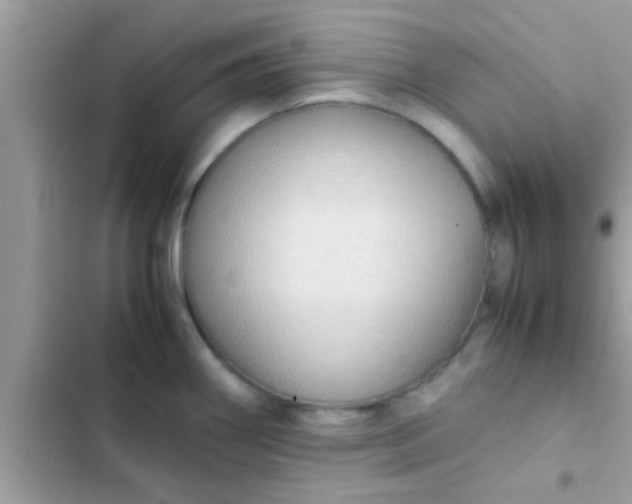 X0000102391290200808151912