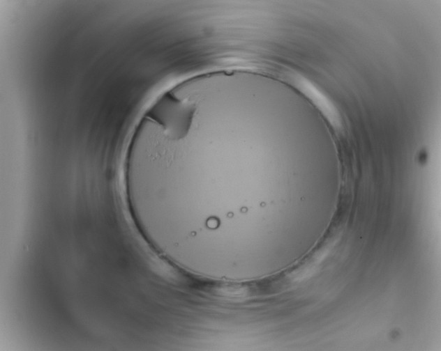 X0000102391291200808151912