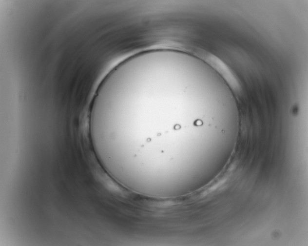 X0000102391292200808151912