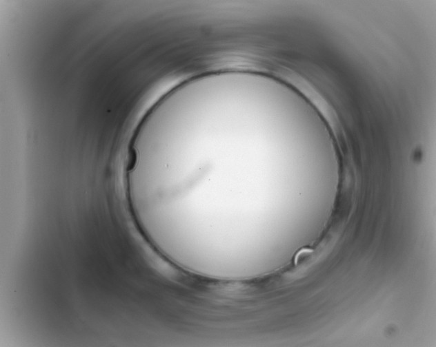 X0000102391293200808151912