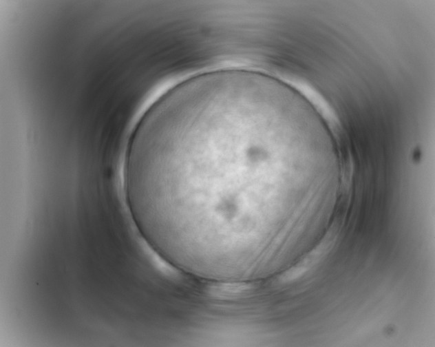 X0000102391294200808151912