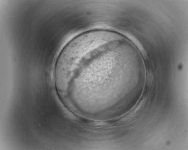 X0000102391295200808151912