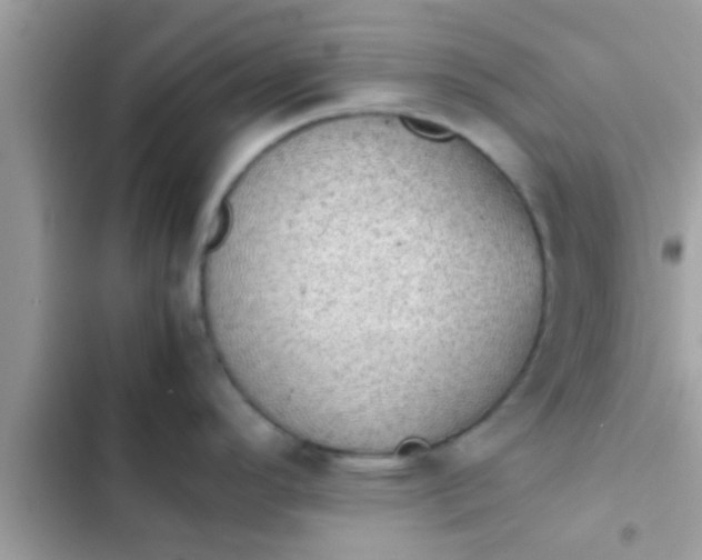 X0000102391296200808151912