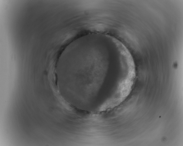 X0000102391297200808151911