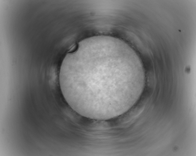 X0000102391298200808151911