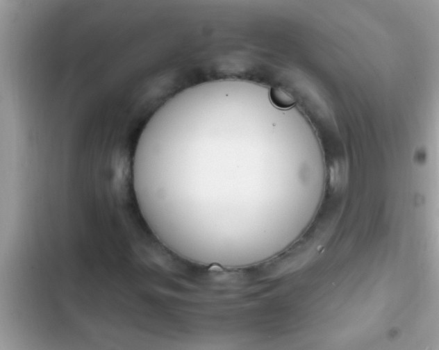 X0000102391299200808151911