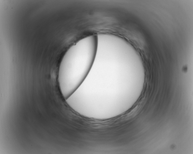 X0000102391300200808151911