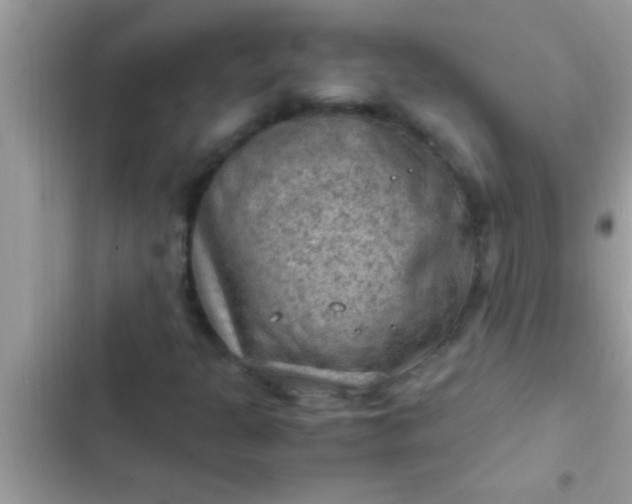 X0000102391301200808151911