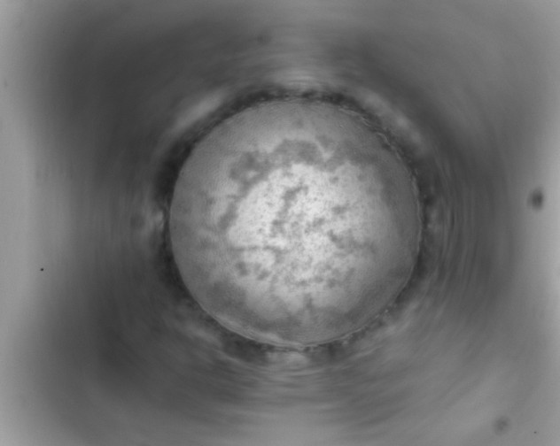 X0000102391302200808151911